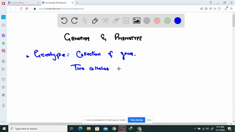 what-determines-a-genotype-what-determines-a-phenotype