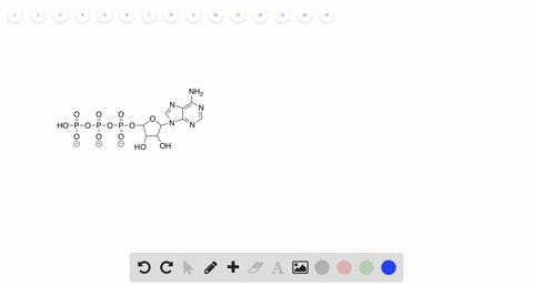 how-does-atp-supply-energy-to-chemical-reactions-a-atp-dissociates-and-the-energy-released-by-breaki