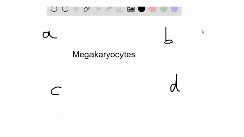 which-of-the-following-are-formed-from-megakaryocytes-a-basophils-b-erythrocytes-c-platelets-d-fib-2