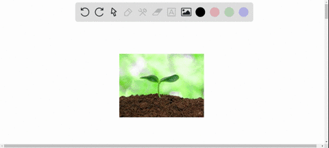 which-of-the-following-are-not-among-the-ideal-soil-conditions-for-growing-crops-a-extremely-large-2