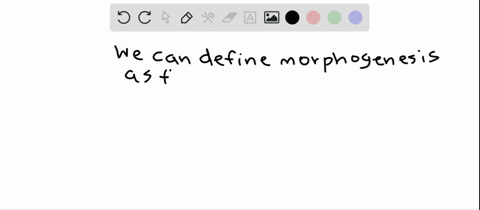 morphogenesis-is-the-development-of-a-growth-form-b-reproductive-structures-c-a-phase-change-d-meris
