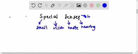 match-each-of-the-following-terms-with-the-appropriate-description-______-somatic-senses-general-sen