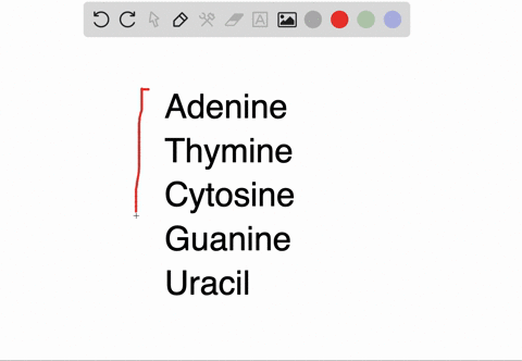 name-the-five-nitrogen-bases-found-in-dna-and-rna-which-base-is-found-commonly-in-rna-but-not-in-d-2