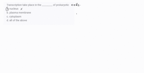 transcription-take-place-in-the-_________-of-prokaryotic-a-nucleus-b-plasma-membrane-c-cytoplasm-d-a