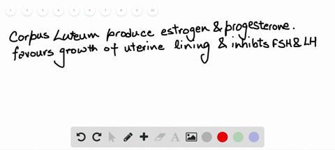 describe-the-possible-event-that-would-occur-if-the-corpus-luteum-did-not-produce-increasing-amounts