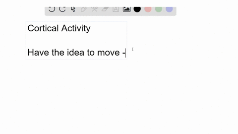 what-evidence-indicates-that-cortical-activity-represents-the-idea-of-the-movement-and-not-juse-the-