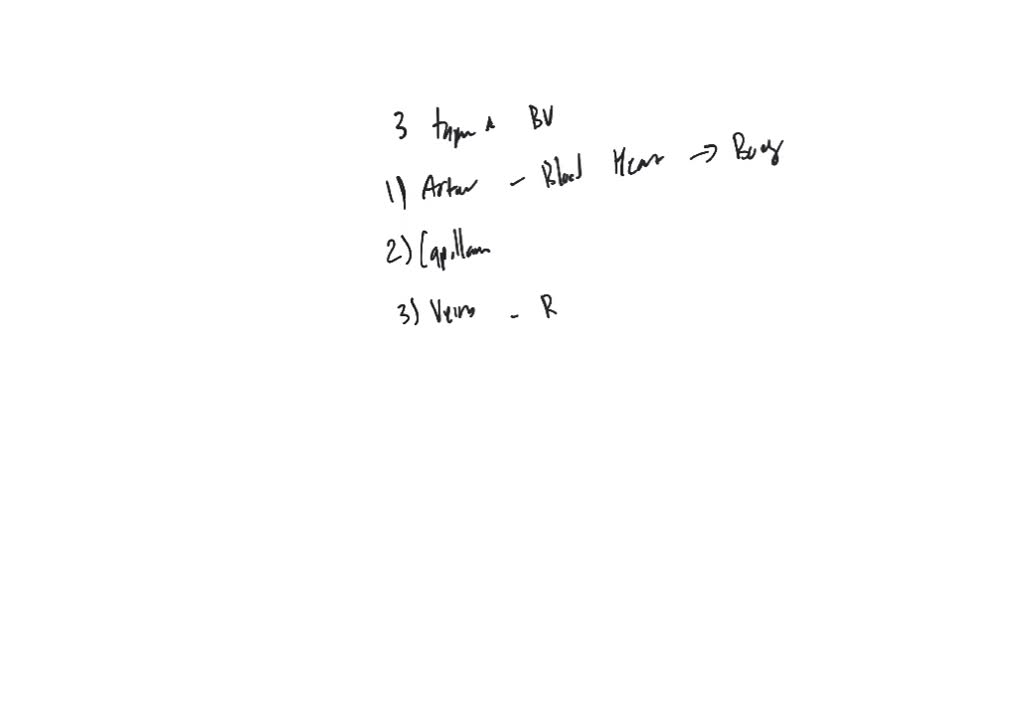 solved-what-are-the-three-different-types-of-capillaries-where-are