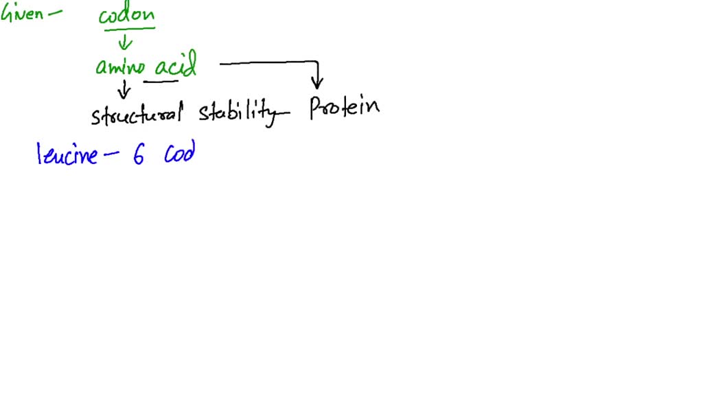 SOLVED:Which amino acid(s) have the most codons? Which amino acid(s
