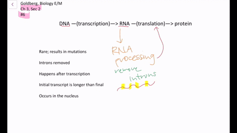 all-of-the-following-are-correct-about-rna-processing-except-a-it-is-a-rare-occurrence-and-results-i