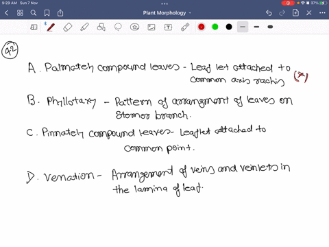 find-out-the-correct-matching-a-palmately-compound-leaves-leaf-let-attached-to-common-axis-rachis-b-