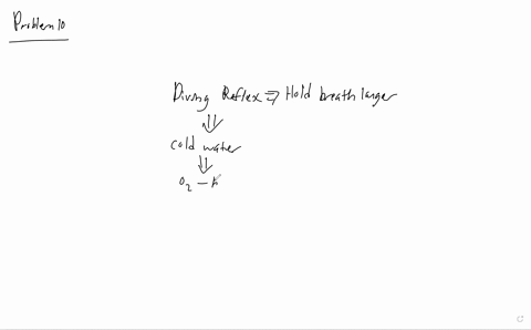 jumping-into-cold-water-may-initiate-the-diving-reflex-during-which-blood-is-shunted-toward-the-head