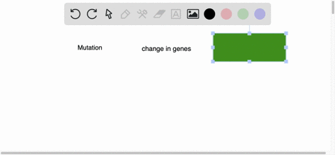 what-are-mutations-how-do-they-affect-living-beings