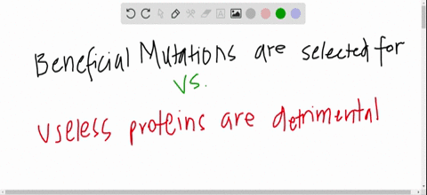 random-mutations-only-very-rarely-result-in-changes-in-a-protein-that-improve-its-usefulness-for-the