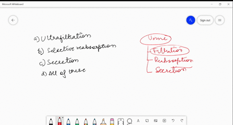 SOLVED:The process of urine formation involves all of the following