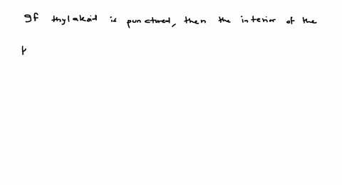 iect-assuming-a-thylakoid-is-somehow-punctured-interior-of-the-thylakoid-is-no-longer-separated-thy-