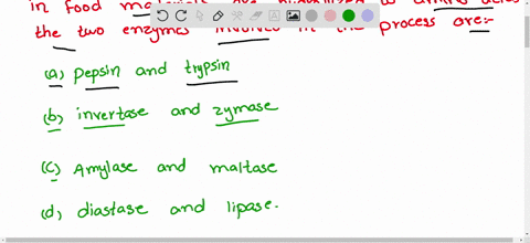 during-the-process-of-digestion-the-proteins-present-in-food-materials-are-hydrolyzed-to-amino-aci-2