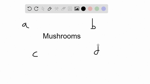 a-mushroom-is-_______-a-the-food-absorbing-part-of-a-fungus-b-the-only-part-of-the-fungal-body-not-m