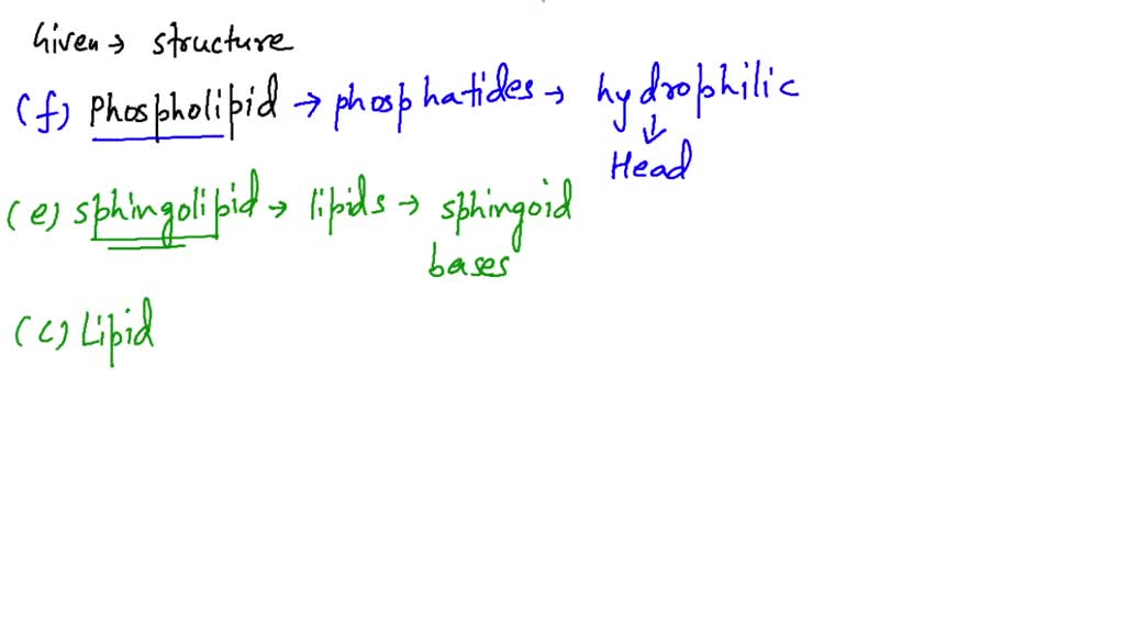 Which Of The Following Terms Apply To A Bond SOLVED:Which of the following terms apply to the compound shown below