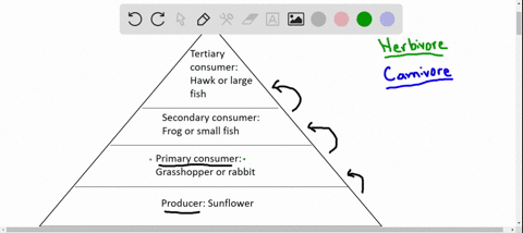 SOLVED:All the organisms living in one area are known as a(n) (A ...