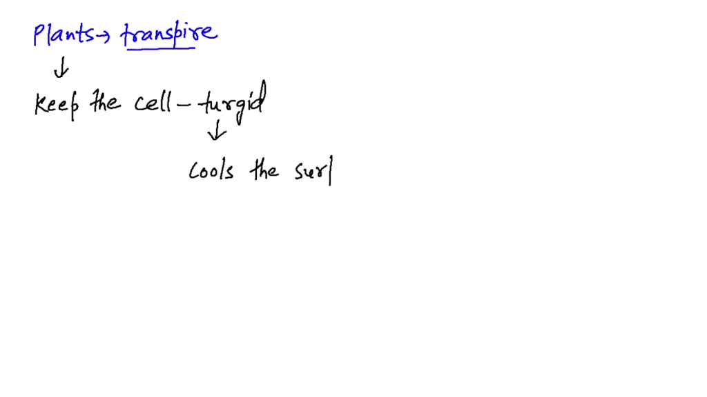 SOLVEDWhy do plants transpire?