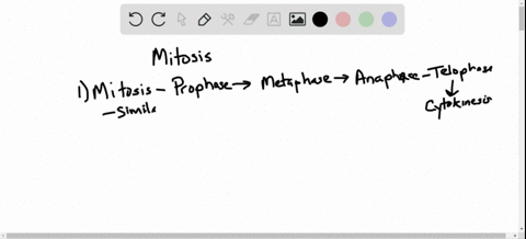 compare-mitosis-in-animal-and-plant-cells-chapter-9