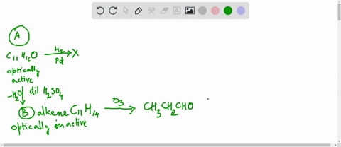 compound-mathbfa-mathrmc_11-mathrmh_16-mathrmo-was-found-to-be-an-optically-active-alcohol-despite-i