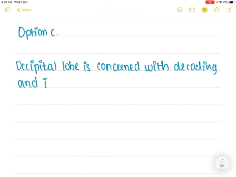 which-function-will-be-lost-if-occipital-lobe-is-damaged-a-hearing-b-speech-c-vision-d-memory