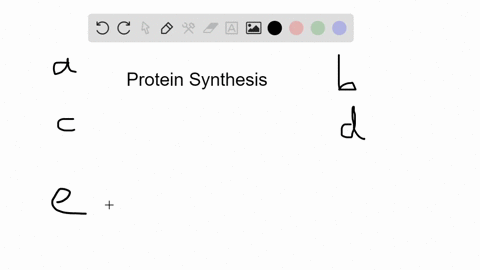 which-of-the-following-structures-is-not-used-in-eukaryotic-protein-manufacture-and-secretion-a-ri-3
