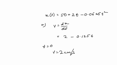 a-turtle-crawls-along-a-straight-line-which-we-will-call-the-x-axis-with-the-positive-direction-to-t