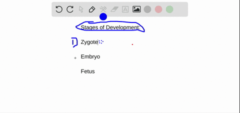 what-is-the-prenatal-development-sequence-a-zygote-embryo-fetus-b-fetus-zygote-embryo-c-embryo-zygot