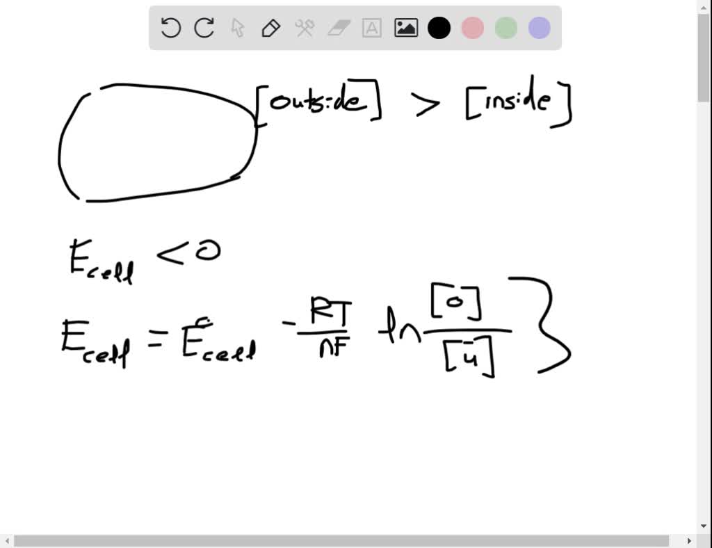 solved-in-a-neuron-a-nerve-cell-the-concentration-of-k-ions-inside