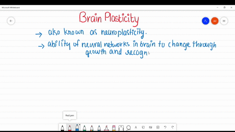 when-brain-researchers-refer-to-brain-plasticity-they-are-talking-about-a-the-brains-ability-to-quic
