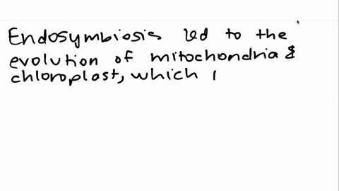 ribosomal-rna-rrna-genes-are-present-in-the-nuclear-genome-of-eukaryotes-there-are-also-rrna-genes-i