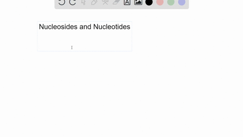 what-is-the-difference-between-a-nucleoside-and-a-nucleotide-4