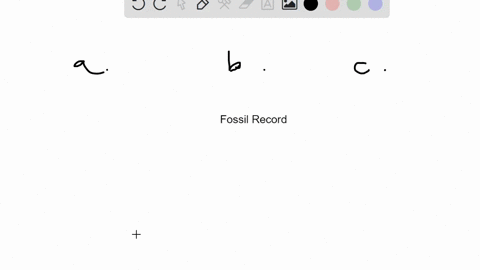 the-fossil-record-offers-direct-evidence-for-evolution-because-you-can-a-see-that-the-types-of-fossi