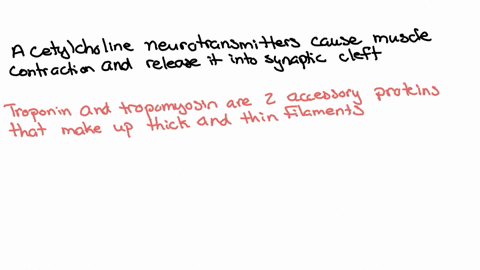 explain-the-following-two-statements-muscles-can-only-actively-contract-muscle-fibers-lengthen-passi