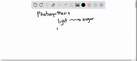 in-photosynthesis-light-energy-from-the-sun-is-used-to-produce-sugars-how-does-this-process-repres-3