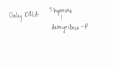 which-of-the-following-nucleotides-can-be-found-in-dna-which-in-rna-and-which-in-neither