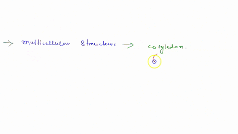 the-____________-is-a-multicellular-structure-that-anchors-the-embryo-and-aids-in-nutrient-uptake-fr