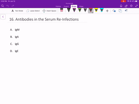 what-is-the-most-abundant-antibody-class-detected-in-the-serum-upon-reexposure-to-a-pathogen-or-in-r