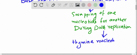 a-gene-encodes-a-protein-with-the-following-amino-acid-sequence-met-trp-his-arg-ala-ser-phe-a-mutati