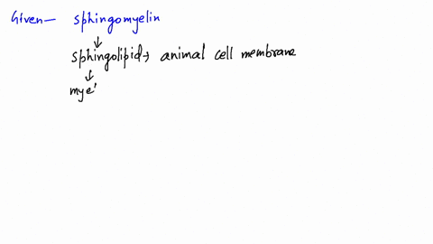 draw-the-structure-of-a-sphingomyelin-that-contains-a-stearic-acid-unit