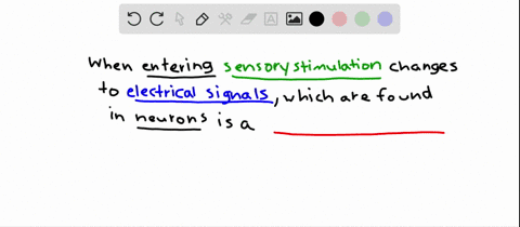 the-process-whereby-incoming-sensory-stimulation-is-converted-to-electrical-signals-in-neurons-is-ca