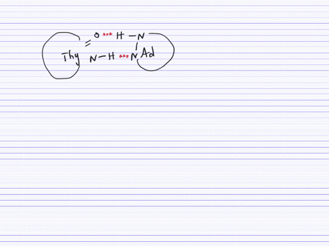 the-dna-double-helix-figure-2540-at-the-atomic-level-looks-like-a-twisted-ladder-where-the-rungs-of-