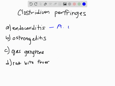 what-disease-is-most-associated-with-clostridium-perfringens-a-endocarditis-b-osteomyelitis-c-gas-ga
