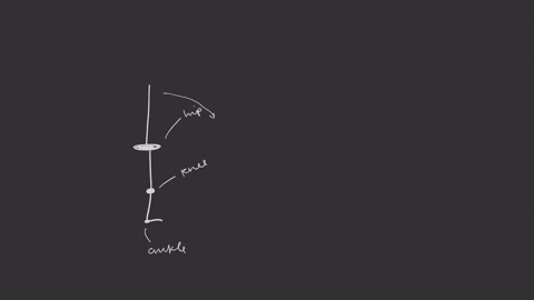 what-movements-occur-at-the-hip-joint-and-knees-as-you-bend-down-to-touch-your-toes