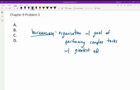 a-bureaucracy-is-a-specific-example-of-an-a-immediate-network-b-primary-group-c-organization-d-ref-2