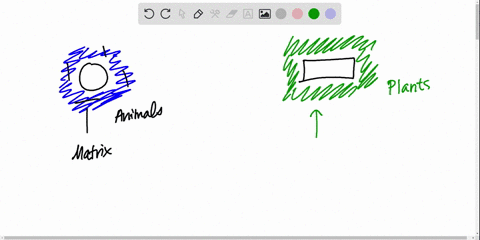 how-do-the-extracellular-fibers-in-plants-differ-from-those-in-animals-a-plant-fibers-resist-compres