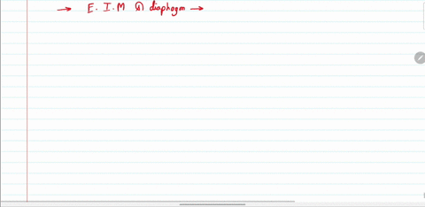 which-of-the-following-changes-occur-in-diaphragm-and-intercostal-musdes-when-expiration-of-air-take