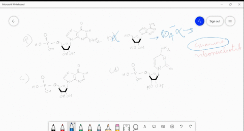 identify-structure-of-guanine-ribonuleotide